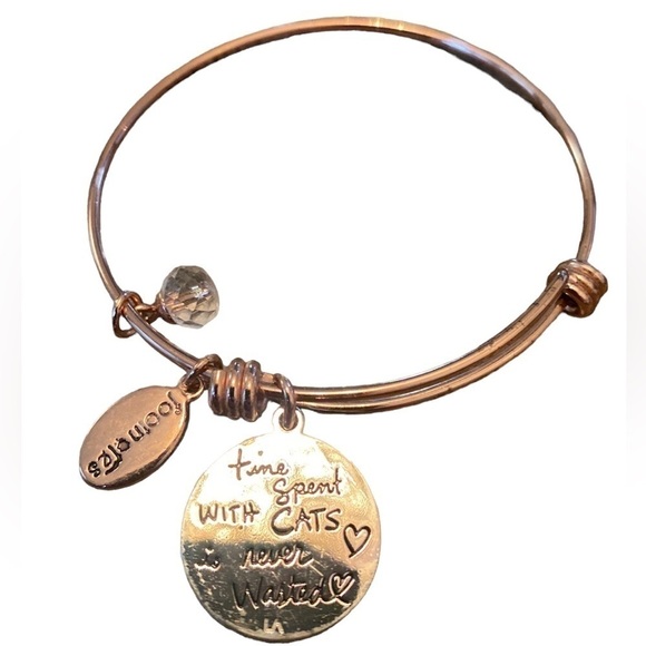 Footnotes | Rose Gold | Cat | Charm | Bangle | Bracelet - Picture 2 of 5